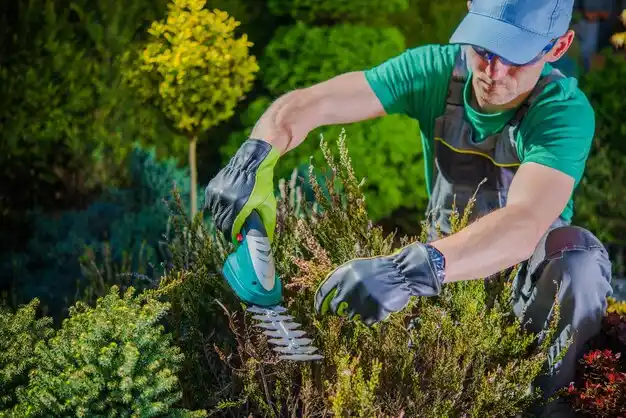 landscaping services Shoreham